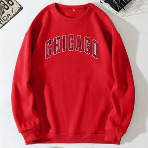 Men Letter Graphic Thermal Lined Sweatshirt